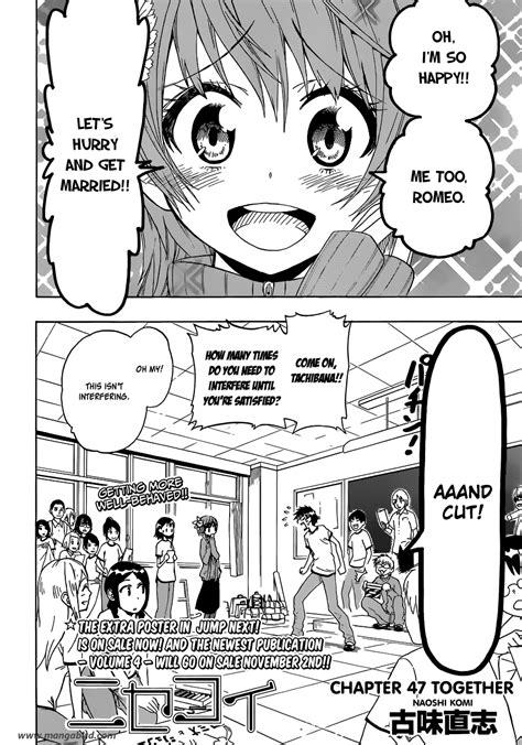 tinyzone nisekoi|Nisekoipedia .